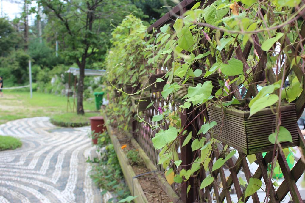 Time Story Villa Yangpyeong Eksteriør billede