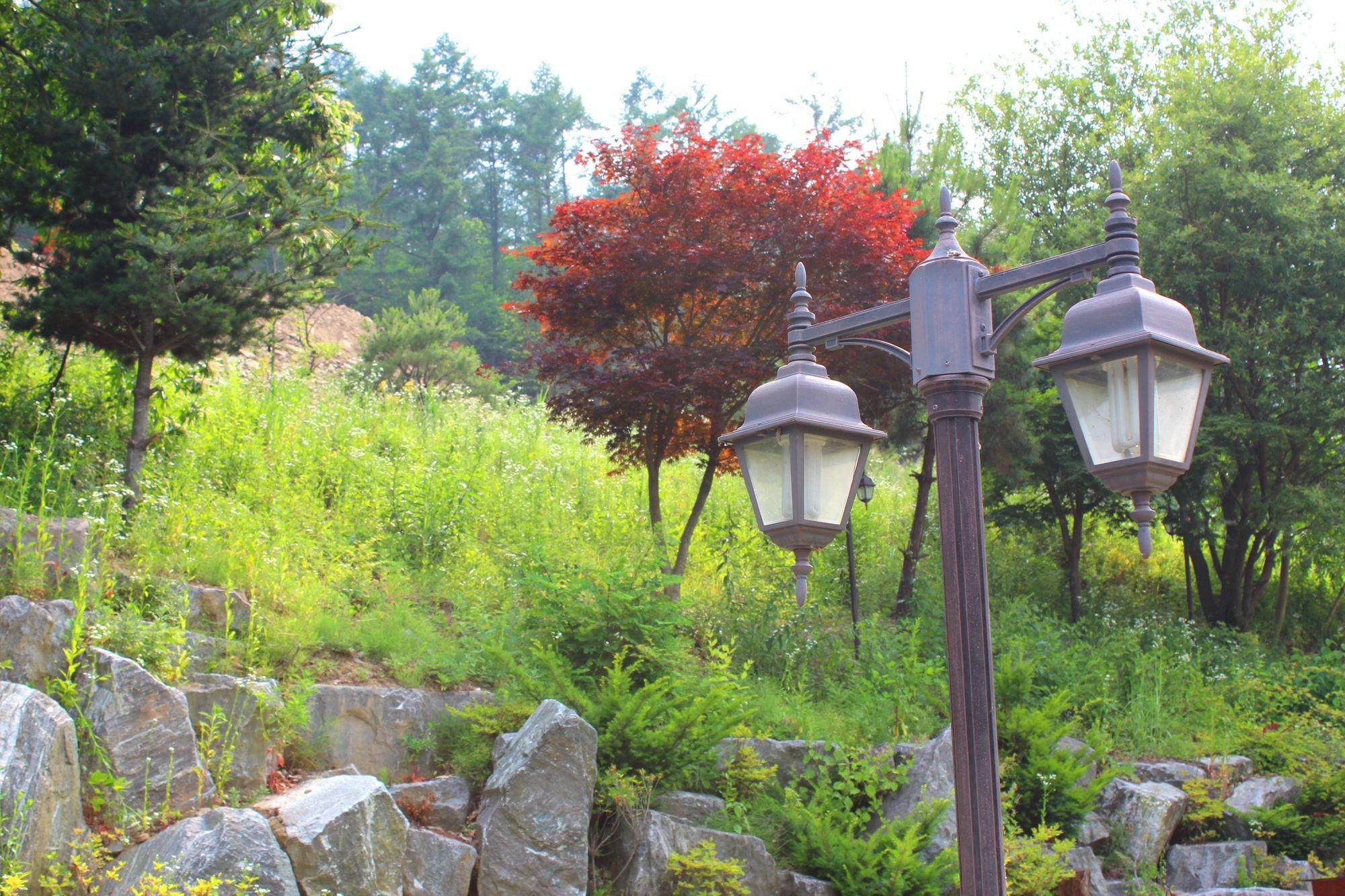 Time Story Villa Yangpyeong Eksteriør billede